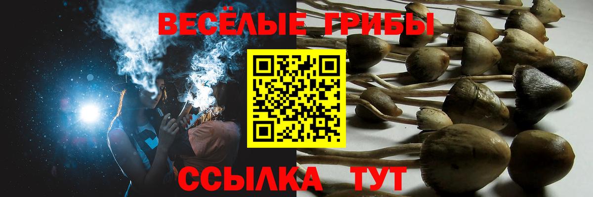 Псилоцибиновые грибы Psilocybine cubensis  цена   Сатка  Псилоцибиновые грибы мухоморы  Вход с VPN 