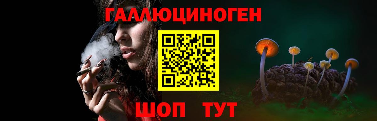 Галлюциногенные грибы мухоморы Сатка